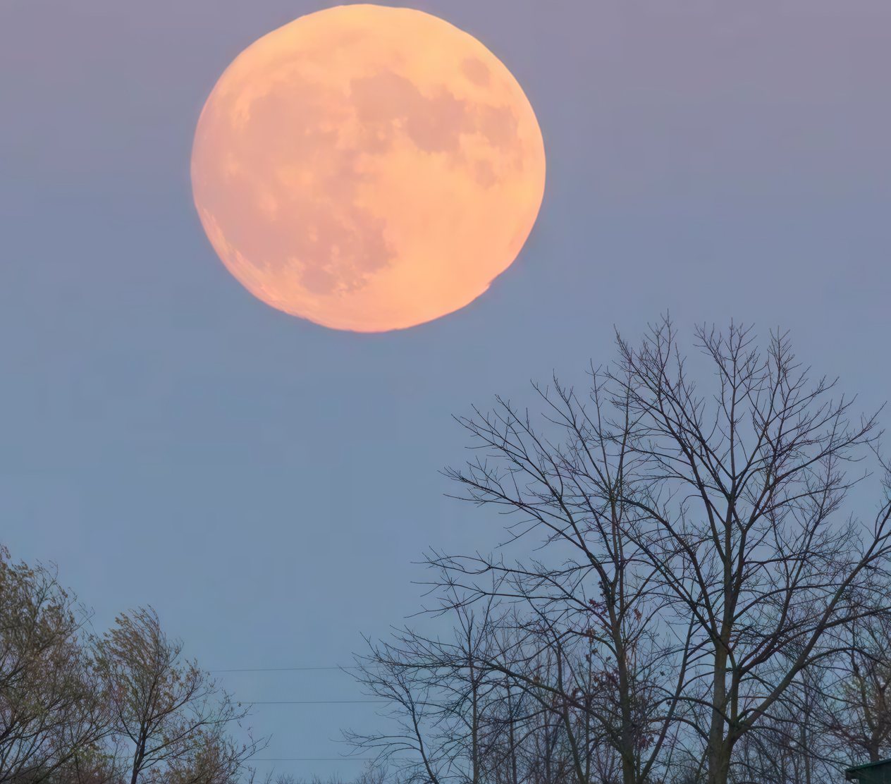 The same moonrise after a 4× CraterView.ai enhancement: the dark seas on the moon's face, the bare branches and the barn boards resolved