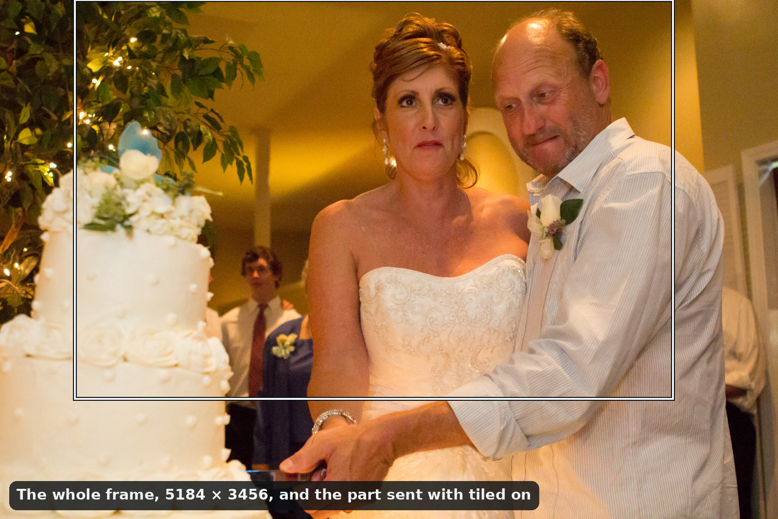 The whole cake-cutting photograph, the bride and groom beside a three-tier cake with a tree of fairy lights behind it, and a box around the part sent to Denoise with tiled on: three quarters of the frame's width and height from its top, holding the tree, both their faces and the lace of her dress