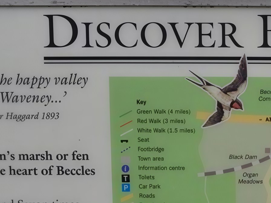 The same part of the board enlarged four times by CraterView Enhance, the map's paths and the text sharp and readable