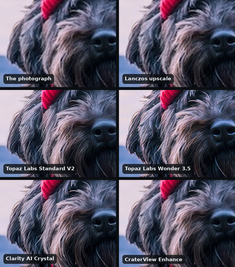 Six views of a dark shaggy dog's face and fur in a grid of six, two across: the photograph and the Lanczos upscale, soft; Topaz Labs Standard V2, harshly sharpened; Topaz Labs Wonder 3.5 and Clarity AI Crystal, with many crisp, short strands laid across the locks; CraterView Enhance, softer strands that follow the way each lock falls