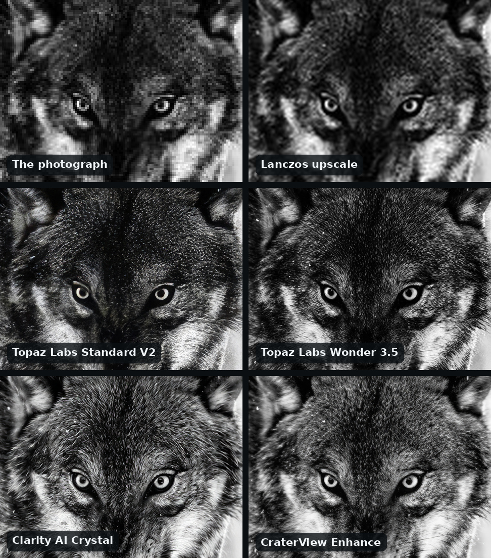 Six views of a wolf's eyes and muzzle in black and white in a grid of six, two across: the photograph, grainy; the Lanczos upscale; Topaz Labs Standard V2, speckled; Topaz Labs Wonder 3.5 and Clarity AI Crystal, the coat covered in short hatched strokes, Crystal's the coarsest; CraterView Enhance, fur that follows the shape of the face and the coat